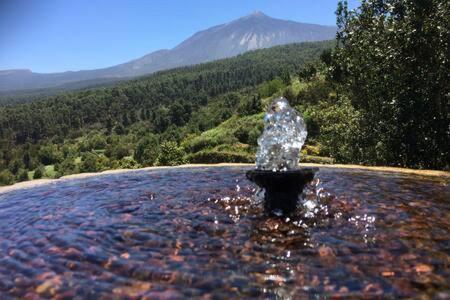 Villa Rural Faldas Del Teide Icod De Los Vinos Bagian luar foto