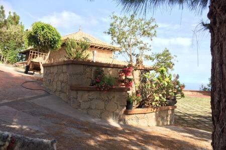 Villa Rural Faldas Del Teide Icod De Los Vinos Bagian luar foto