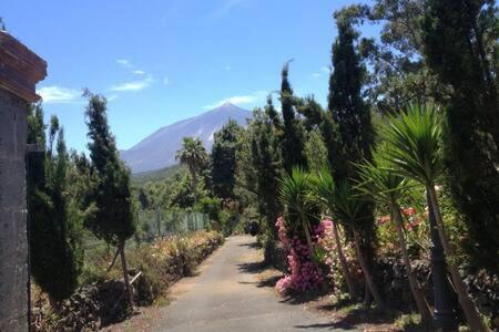 Villa Rural Faldas Del Teide Icod De Los Vinos Bagian luar foto