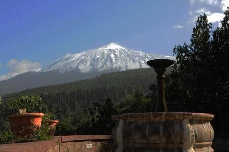 Villa Rural Faldas Del Teide Icod De Los Vinos Bagian luar foto