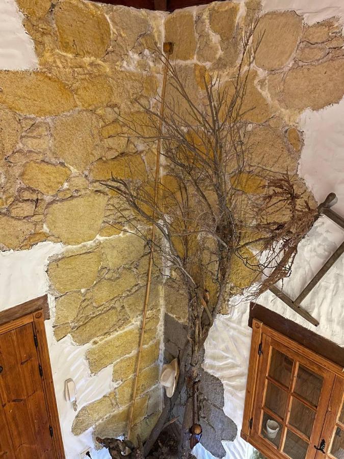 Villa Rural Faldas Del Teide Icod De Los Vinos Bagian luar foto